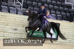 22BUCK_07571 proof