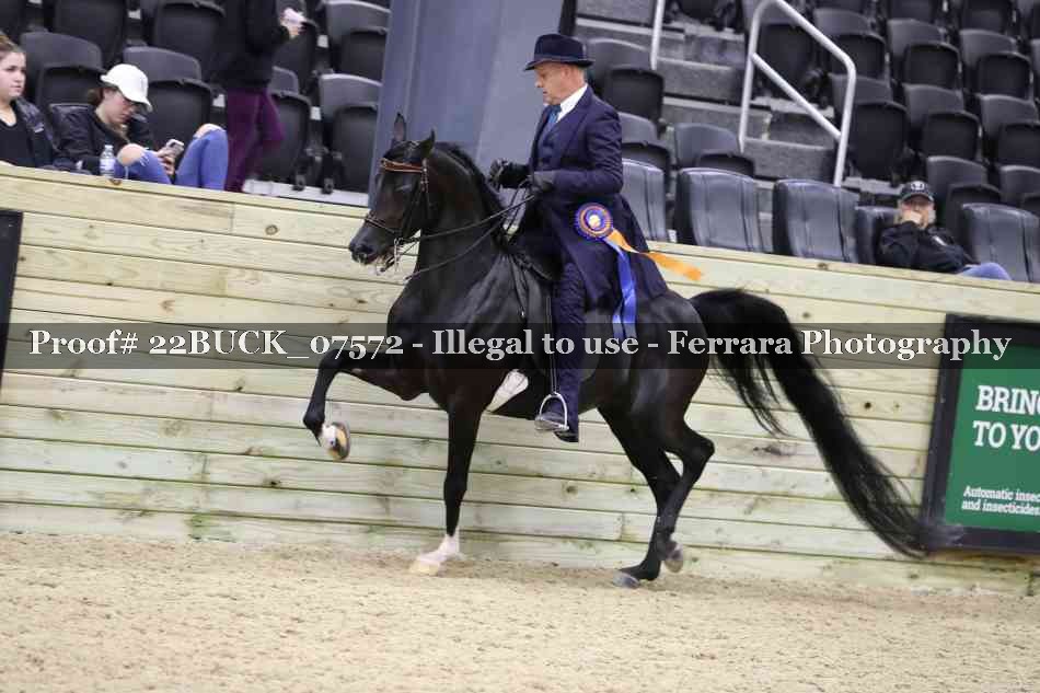 Proof 22BUCK_07572