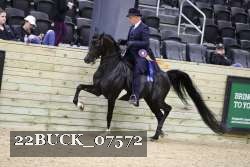 22BUCK_07572 proof