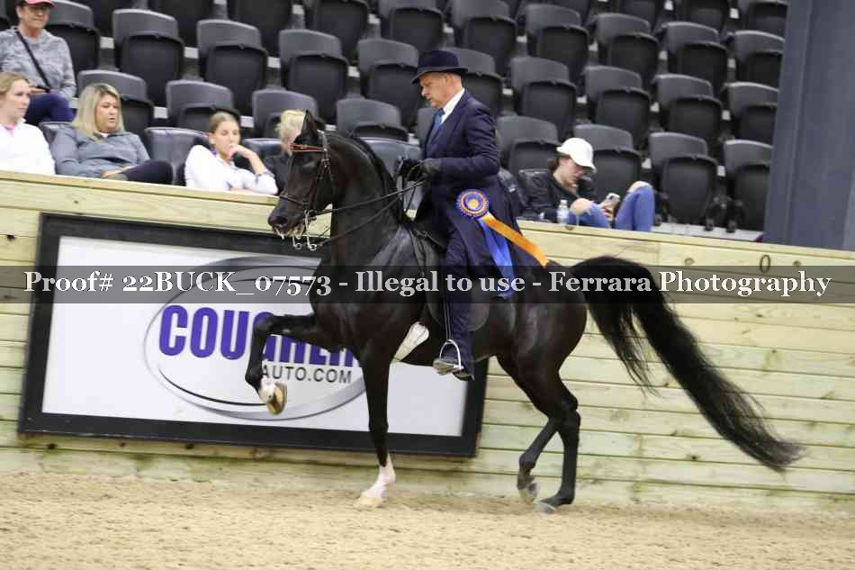Proof 22BUCK_07573