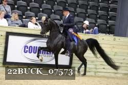22BUCK_07573 proof