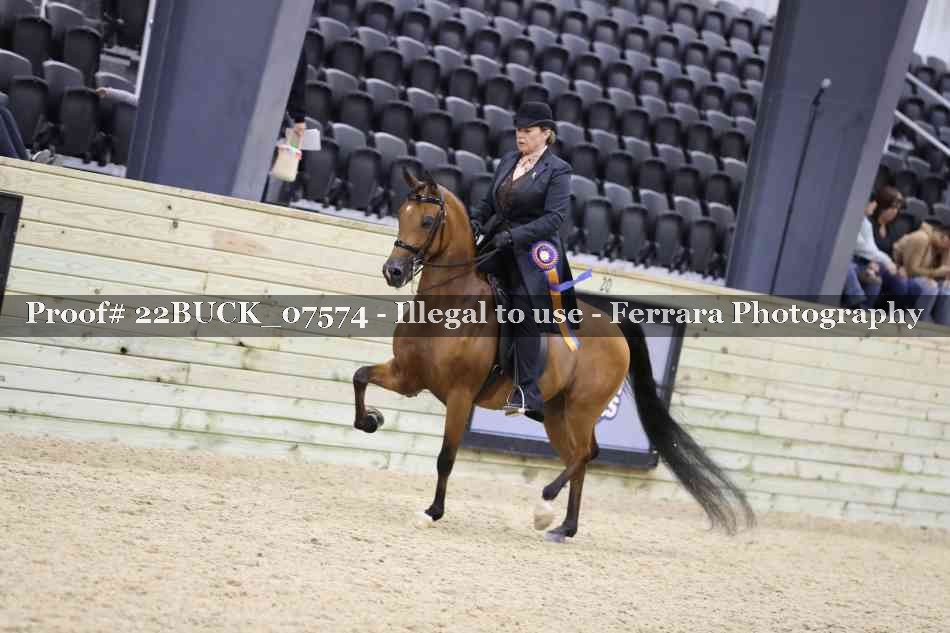 Proof 22BUCK_07574