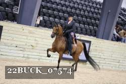 22BUCK_07574 proof