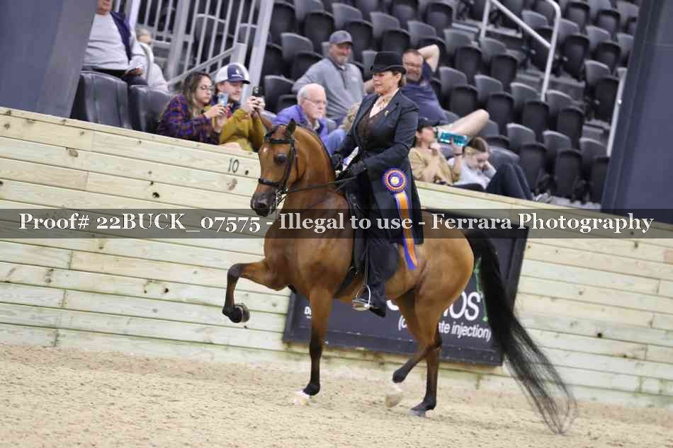 Proof 22BUCK_07575
