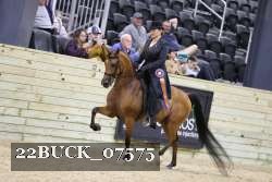 22BUCK_07575 proof
