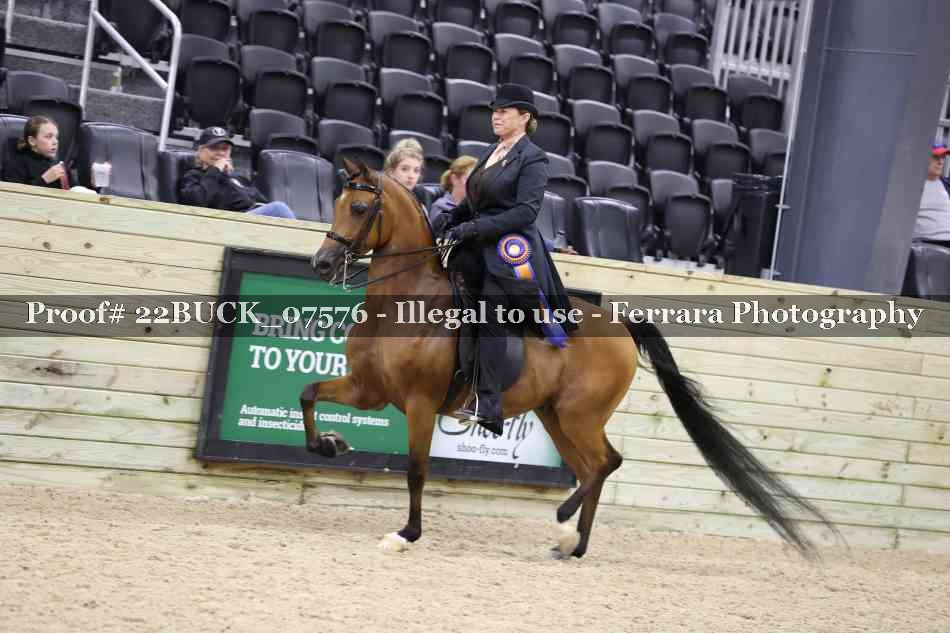 Proof 22BUCK_07576