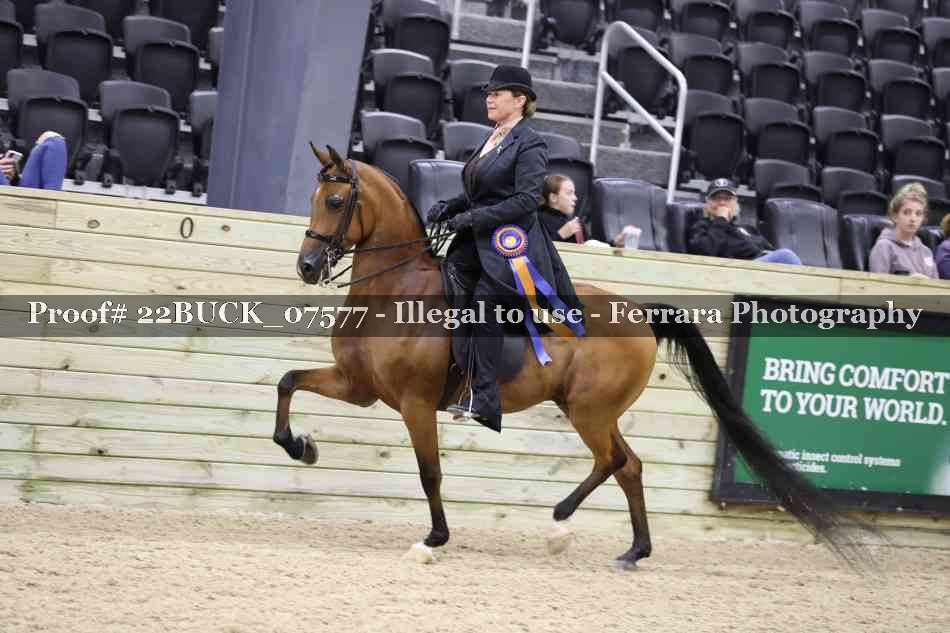 Proof 22BUCK_07577
