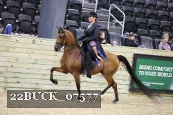 22BUCK_07577 proof