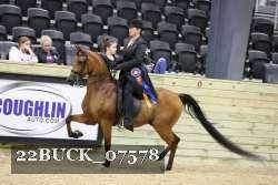 22BUCK_07578 proof