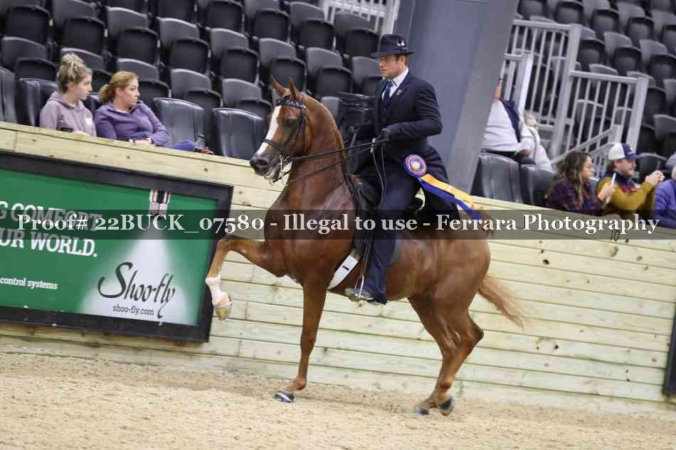 Proof 22BUCK_07580