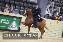 22BUCK_07580 proof