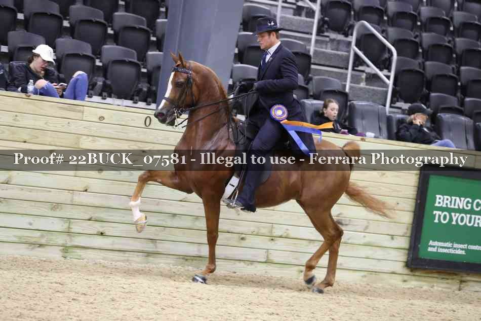 Proof 22BUCK_07581