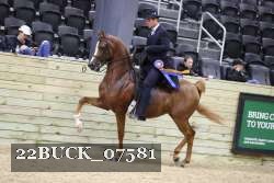 22BUCK_07581 proof