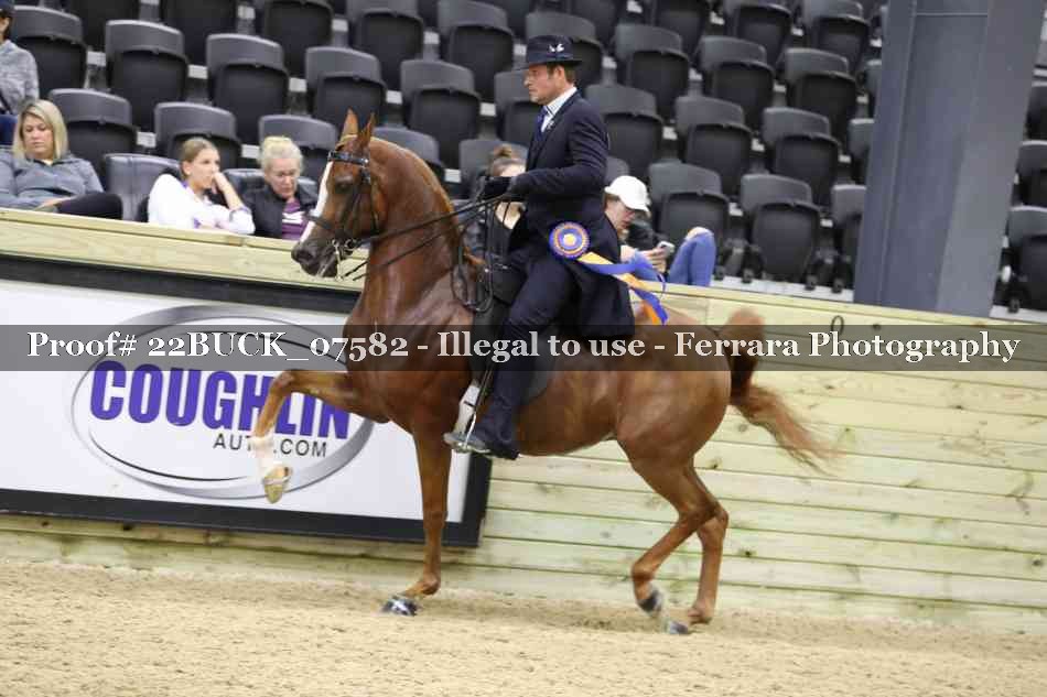 Proof 22BUCK_07582