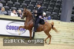 22BUCK_07582 proof