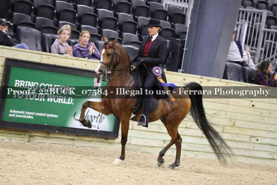 Proof 22BUCK_07584