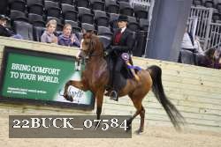 22BUCK_07584 proof