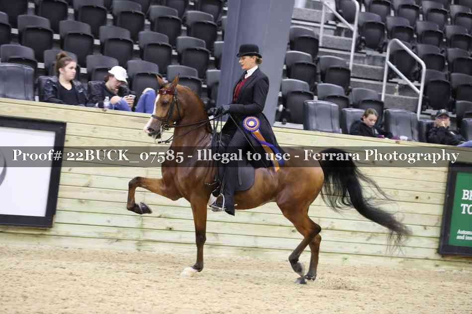 Proof 22BUCK_07585