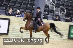 22BUCK_07585 proof