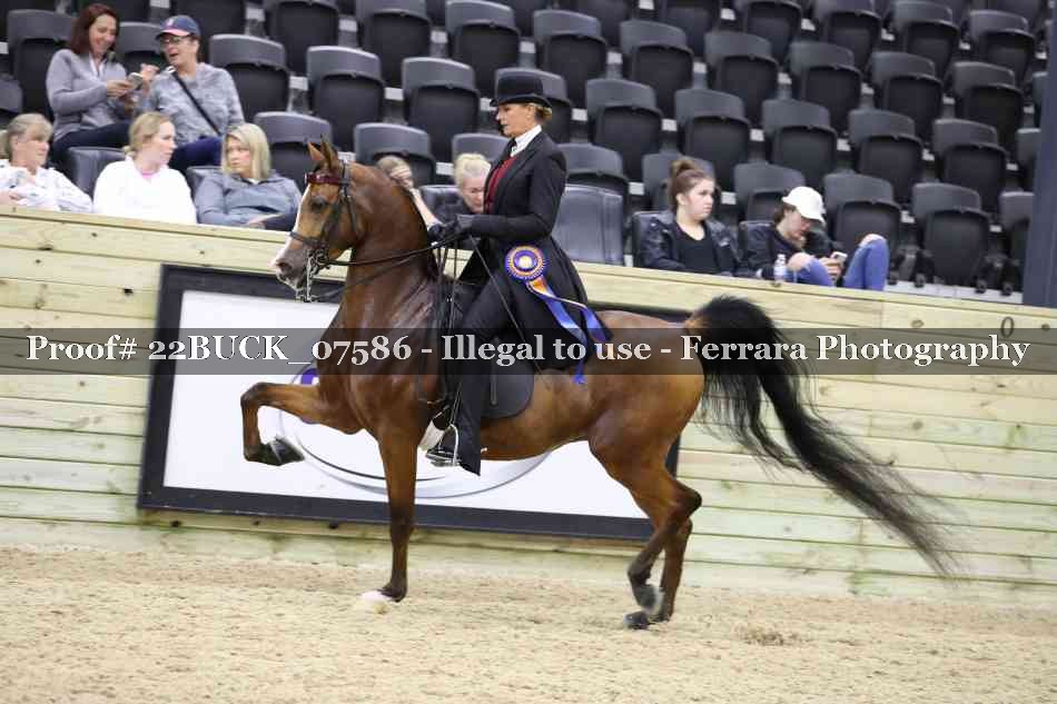 Proof 22BUCK_07586