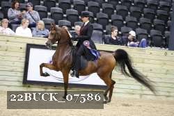 22BUCK_07586 proof