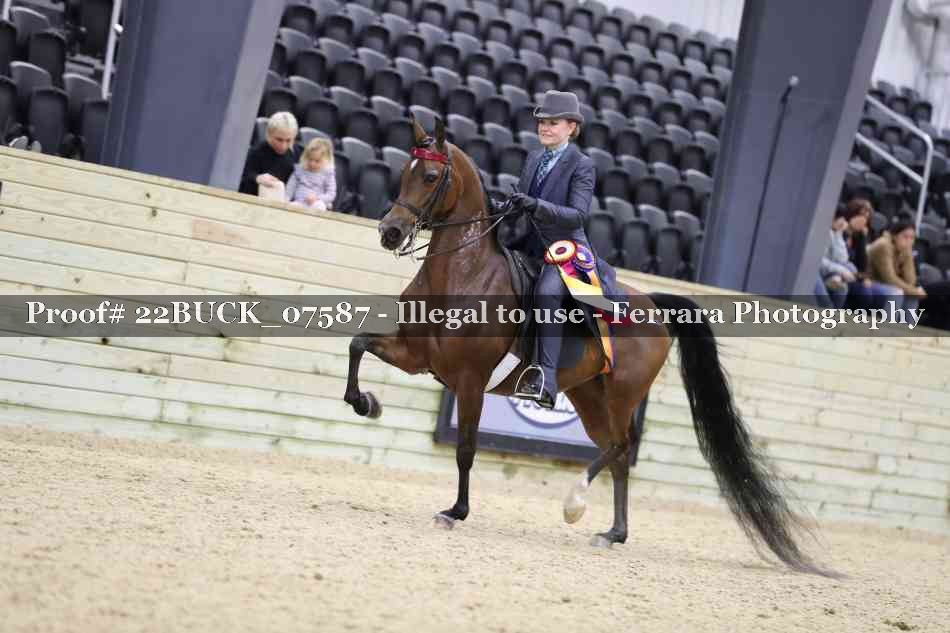 Proof 22BUCK_07587
