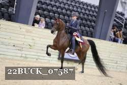 22BUCK_07587 proof