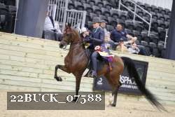 22BUCK_07588 proof