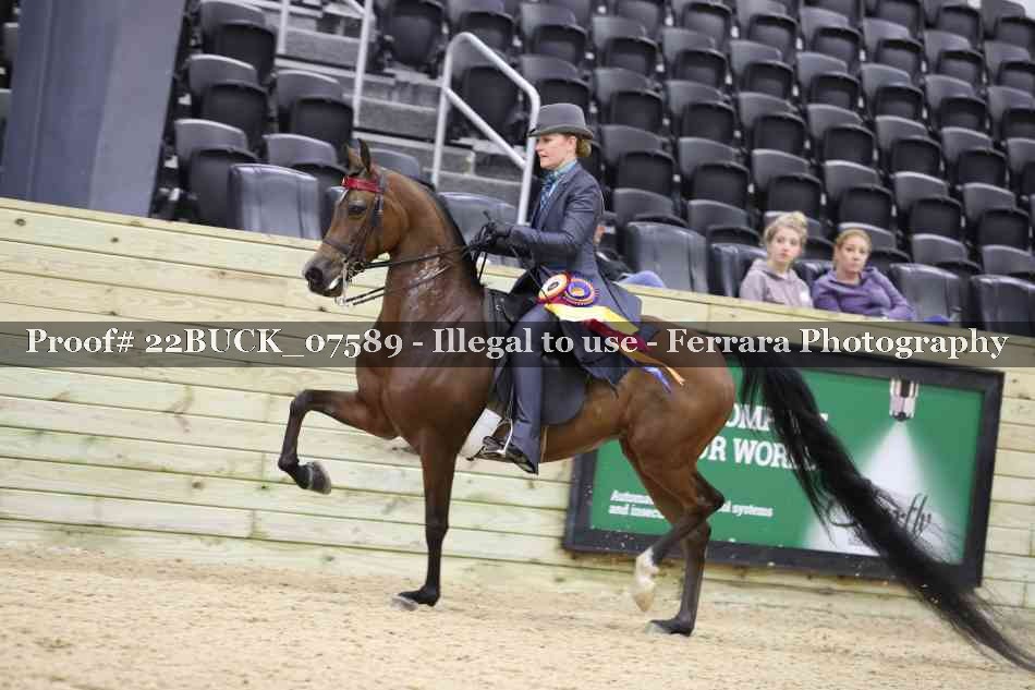 Proof 22BUCK_07589