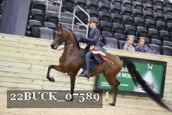 22BUCK_07589 proof
