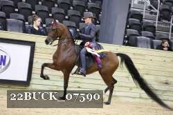 22BUCK_07590 proof