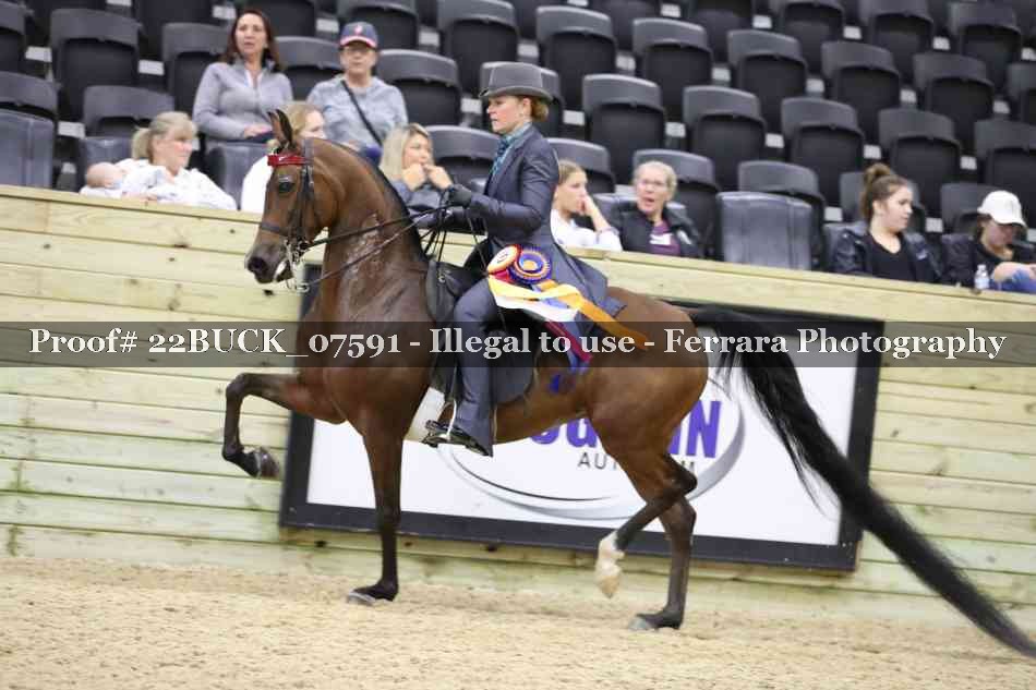 Proof 22BUCK_07591