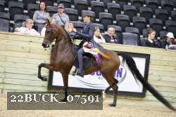 22BUCK_07591 proof