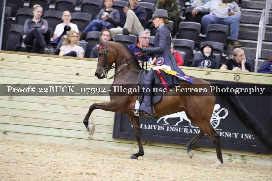 Proof 22BUCK_07592