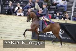 22BUCK_07592 proof