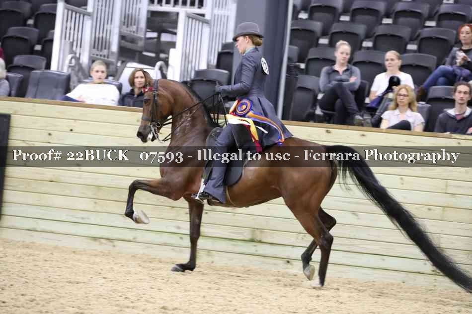 Proof 22BUCK_07593
