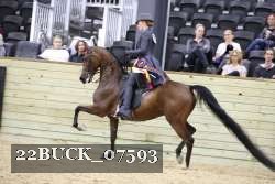 22BUCK_07593 proof