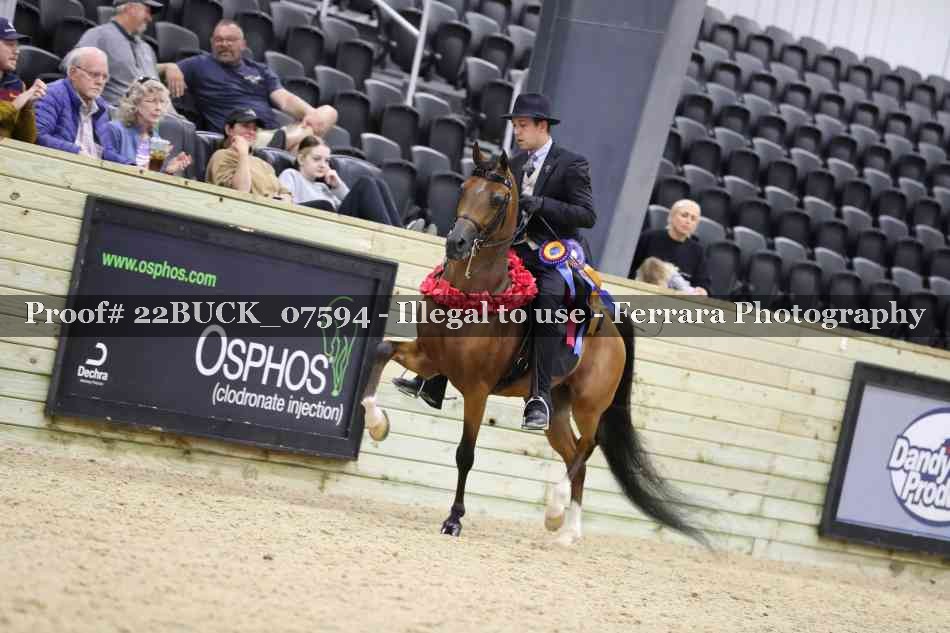 Proof 22BUCK_07594