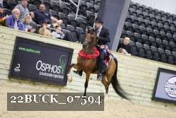 22BUCK_07594 proof