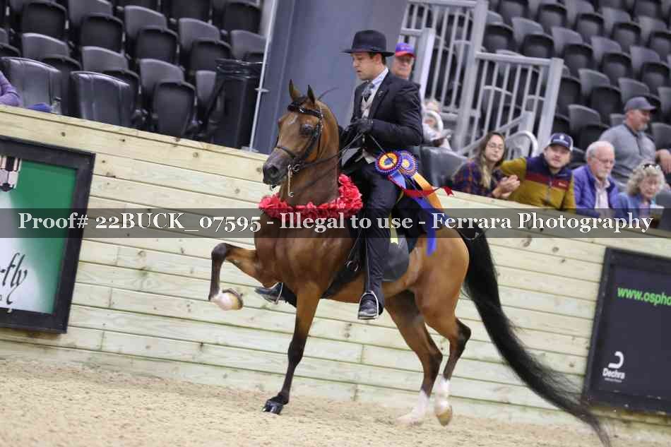 Proof 22BUCK_07595