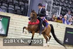 22BUCK_07595 proof