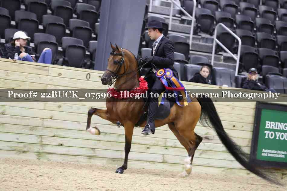 Proof 22BUCK_07596