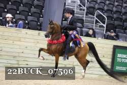 22BUCK_07596 proof