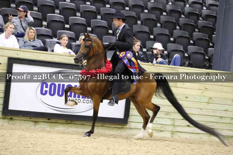 Proof 22BUCK_07597