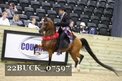 22BUCK_07597 proof