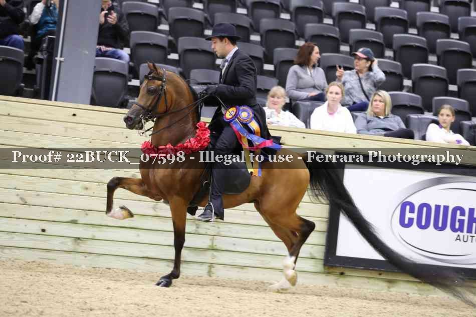 Proof 22BUCK_07598