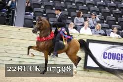 22BUCK_07598 proof