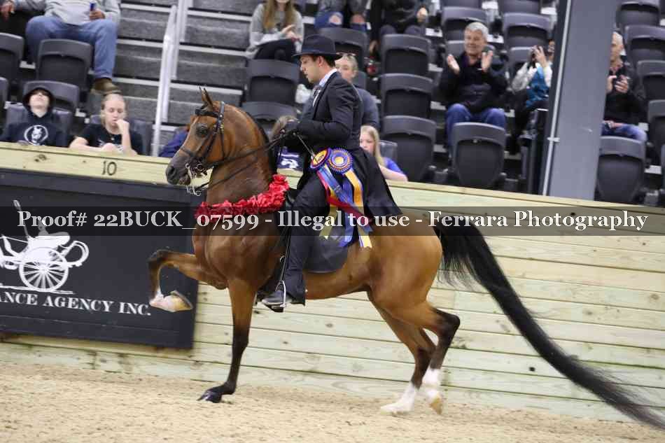 Proof 22BUCK_07599