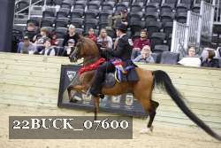 22BUCK_07600 proof