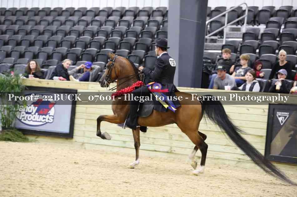 Proof 22BUCK_07601